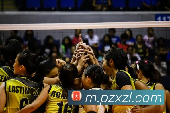 尊龙凯时APP 封面图